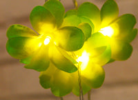 Green Yellow Frangipani Flower - LED Battery Power fairy lights