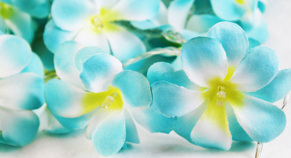 Tropical Blue Frangipani String Lights - LED Battery Power fairy lights - 5 Metre long - floral party decor gift