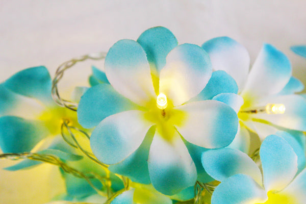 Blue Tropical Frangipani String Lights - LED Battery Power fairy lights - 5 Metre long - floral party decor gift
