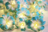 Blue Tropical Frangipani String Lights - LED Battery Power fairy lights - 5 Metre long - floral party decor gift