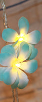 Blue Tropical Frangipani String Lights - LED Battery Power fairy lights - 5 Metre long - floral party decor gift