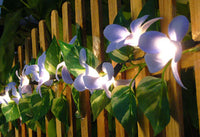 Tropical Blue Frangipani Flower Artificial - Battery Power - 2metre long fairy lights - table party room decoration