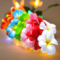 Tropical Mixed Colours Frangipani Flower Decorative Party Wedding LED Lights - 10 metre long with 100 bulb/flowers