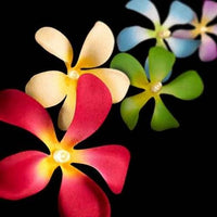 Tropical Colour Frangipani String Lights - LED Battery Power fairy lights - 2 metre long - tropical party decor gift