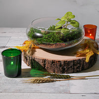 Deep Green Shot Glass Tealight Votive  Candle Holder - 6.5cm High - Party Decoration Homeware