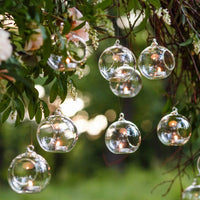 15cm LARGE Hanging Clear Glass Candle/Plant Holder - Ball Sphere - Terrarium Succulent Holder
