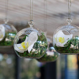 15cm LARGE Hanging Clear Glass Candle/Plant Holder - Ball Sphere - Terrarium Succulent Holder