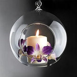 15cm LARGE Hanging Clear Glass Candle/Plant Holder - Ball Sphere - Terrarium Succulent Holder