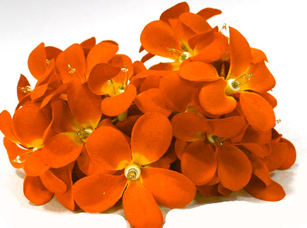 Orange Tropical Frangipani String Lights - LED Battery Power fairy lights - 5 Metre long - floral party decor gift