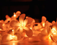 Orange Tropical Frangipani String Lights - LED Battery Power fairy lights - 5 Metre long - floral party decor gift