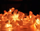Orange Tropical Frangipani String Lights - LED Battery Power fairy lights - 5 Metre long - floral party decor gift