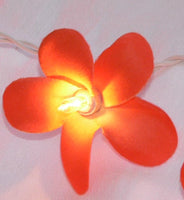Orange Tropical Frangipani String Lights - LED Battery Power fairy lights - 5 Metre long - floral party decor gift