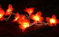 Orange Tropical Frangipani String Lights - LED Battery Power fairy lights - 5 Metre long - floral party decor gift