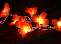 Orange Tropical Frangipani String Lights - LED Battery Power fairy lights - 5 Metre long - floral party decor gift