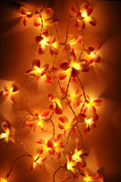 Orange Tropical Frangipani String Lights - LED Battery Power fairy lights - 5 Metre long - floral party decor gift