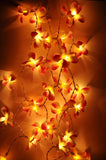 Orange Tropical Frangipani String Lights - LED Battery Power fairy lights - 5 Metre long - floral party decor gift