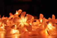 Orange Tropical Frangipani String Lights - LED Battery Power fairy lights - 5 Metre long - floral party decor gift