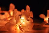 Orange Tropical Frangipani String Lights - LED Battery Power fairy lights - 5 Metre long - floral party decor gift