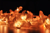 Orange Tropical Frangipani String Lights - LED Battery Power fairy lights - 5 Metre long - floral party decor gift