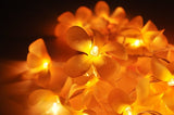 Orange Tropical Frangipani String Lights - LED Battery Power fairy lights - 5 Metre long - floral party decor gift