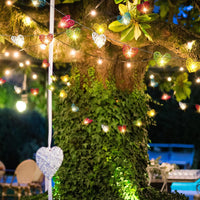 Multi Mix Coloured Heart Rattan Decorative Party Wedding LED Lights - 10 metre long with 100 bulb/hearts