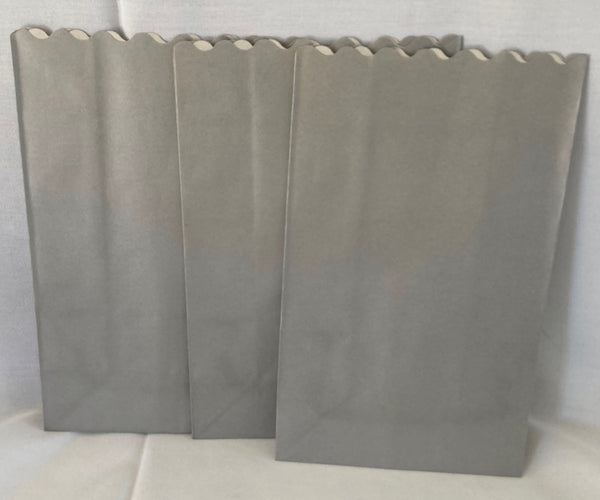 10 Pack SILVER Luminary Bags - Wedding, Reception, Christmas, and Party Décor - Paper Candle Bag - Blank Luminaria - Holiday Candle Lantern
