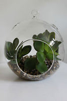 10cm Hanging Clear Glass Candle Holder- Ball - Outdoor or Indoor
