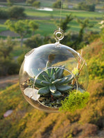 10cm Hanging Clear Glass Candle Holder- Ball - Outdoor or Indoor