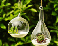 10cm Hanging Clear Glass Candle Holder- Ball - Outdoor or Indoor