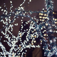 fairy party light