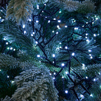 fairy party light