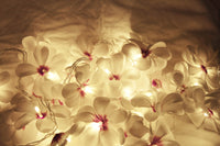 White n Purple Tropical Frangipani String Lights - LED Battery Power fairy lights - 5 Metre long - floral party decor gift
