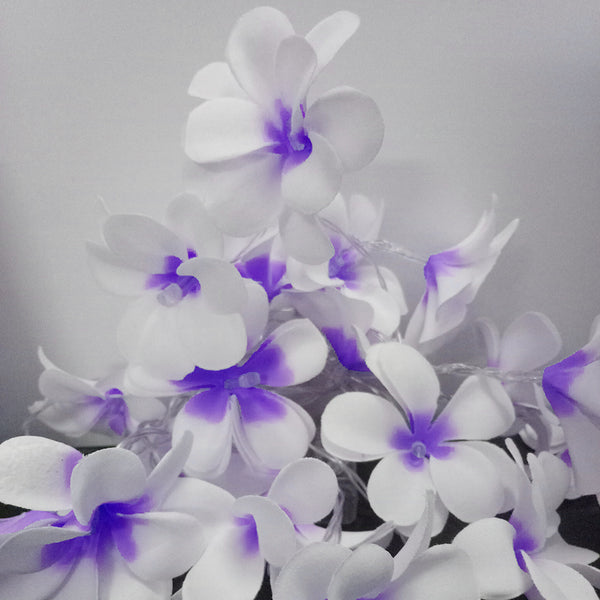 White n Purple Tropical Frangipani String Lights - LED Battery Power fairy lights - 5 Metre long - floral party decor gift