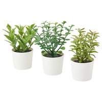 3 Artificial Herb Flower Pot Plants - Ripe Green Herbs in a 6cm White Pot - Gift or home decoration