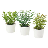 3 Artificial Herb Flower Pot Plants - Ripe Green Herbs in a 6cm White Pot - Gift or home decoration