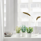 3 Artificial Herb Flower Pot Plants - Ripe Green Herbs in a 6cm White Pot - Gift or home decoration