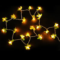 Rich Green Frangipani String Lights - LED Battery Power fairy lights - 5 Metre long - floral party decor gift