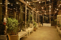 5 Metre 50 Bulb Battery LED Lights - Plain String no decorations - Warm White Bulb