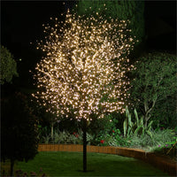 5 Metre 50 Bulb Battery LED Lights - Plain String no decorations - Warm White Bulb