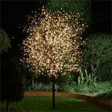 5 Metre 50 Bulb Battery LED Lights - Plain String no decorations - Warm White Bulb