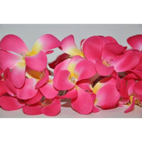 Pink Tropical Frangipani String Lights - LED Battery Power fairy lights - 5 Metre long - floral party decor gift