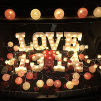 Mixed Pinks Cotton Ball Decorative Party Wedding LED Lights - 10 metre long with 100 bulb/balls