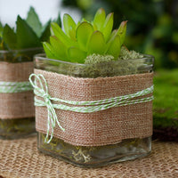 Square Clear Glass Tea Light Candle Holder - Large 7.5cm cube - Succulent Plant Holder - Party Decoration Homeware