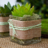Square Clear Glass Tea Light Candle Holder - Large 7.5cm cube - Succulent Plant Holder - Party Decoration Homeware