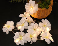 White Frangipani Flower Decorative Party Wedding LED Lights - 10 metre long with 100 bulb/flowers