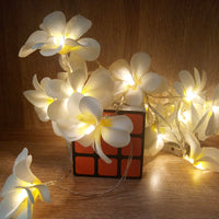 White Frangipani Flower Decorative Party Wedding LED Lights - 10 metre long with 100 bulb/flowers
