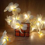White Frangipani Flower Decorative Party Wedding LED Lights - 10 metre long with 100 bulb/flowers