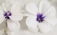 Purple & White Frangipani Flower - Battery Power fairy lights gift or table decoration