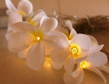 White Frangipani Flower - 20 LED bulb fairy lights
