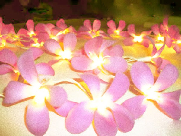 Pink Frangipani LED fairy lights - 35 bulbs with 8 flash settings